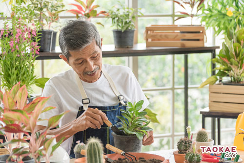 สร้างรายได้หลังเกษียณ 5 วิธีปั๊มเงิน ! สำหรับคนสูงวัย